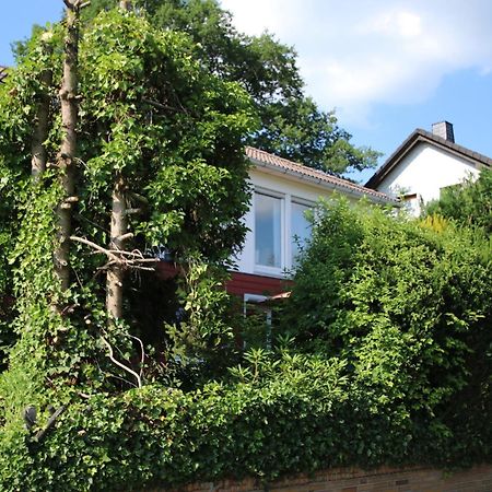 Ferienwohnung Zum Rosengarten West015 Westerwald Driedorf المظهر الخارجي الصورة