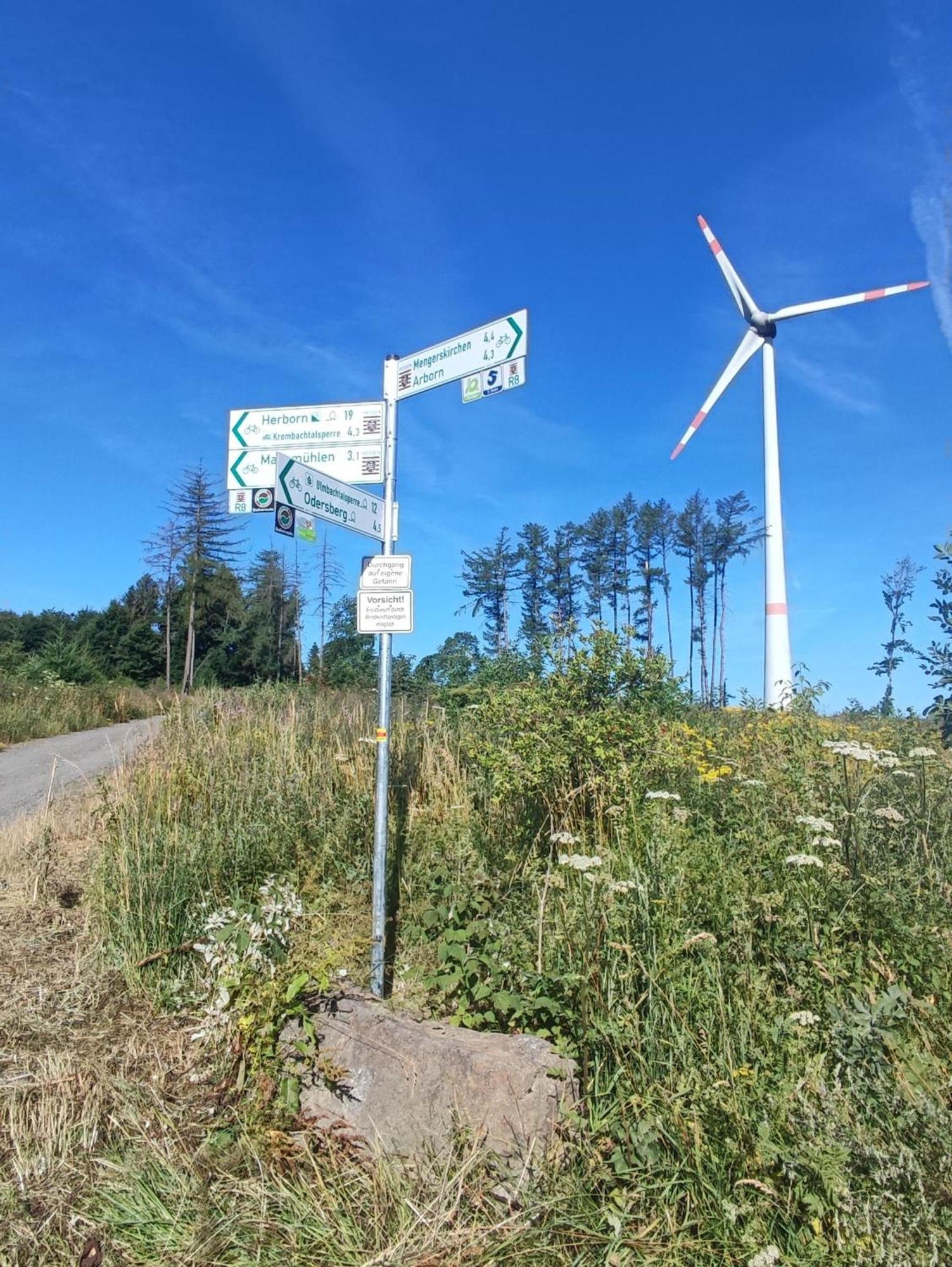 Ferienwohnung Zum Rosengarten West015 Westerwald Driedorf المظهر الخارجي الصورة