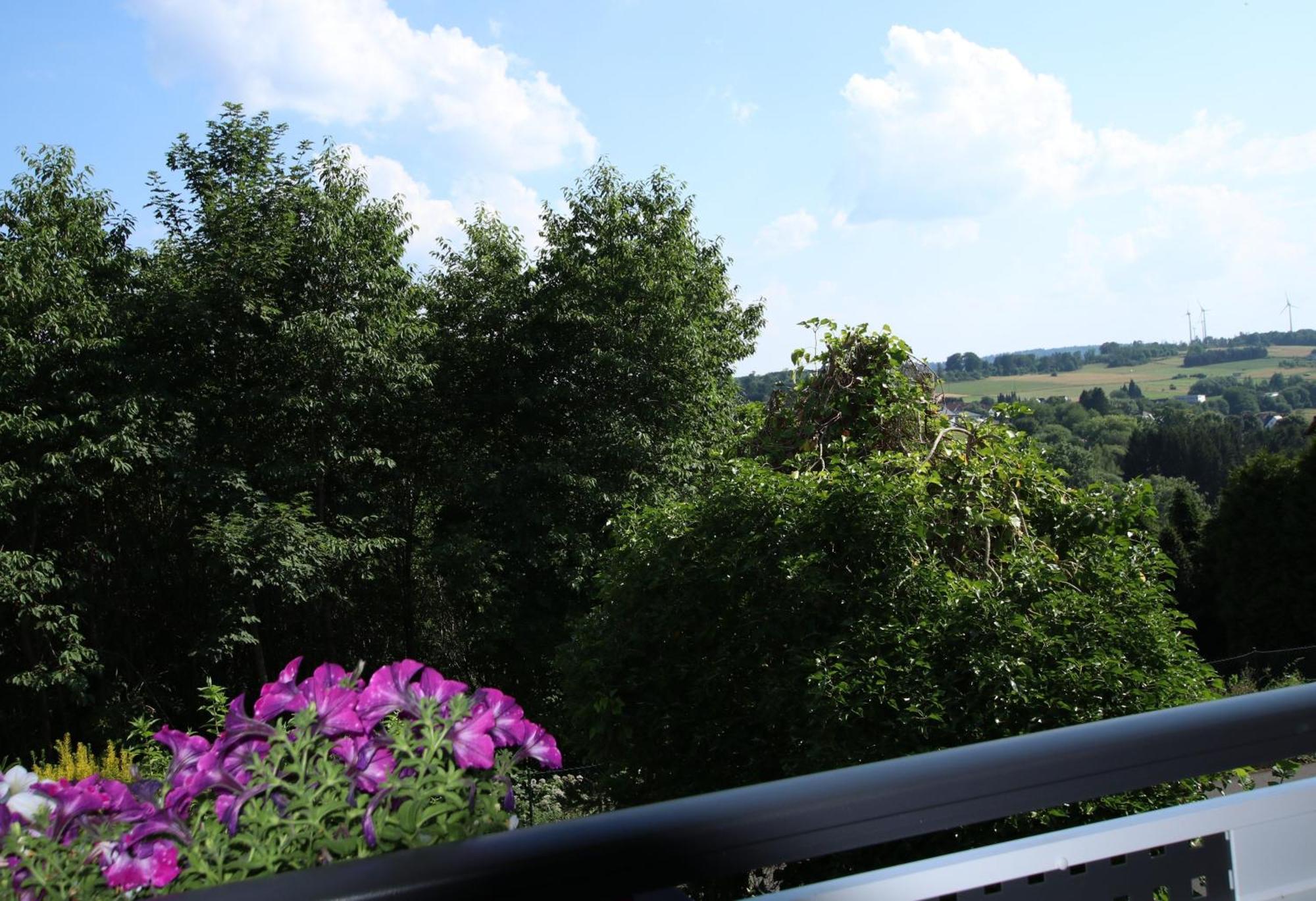 Ferienwohnung Zum Rosengarten West015 Westerwald Driedorf المظهر الخارجي الصورة