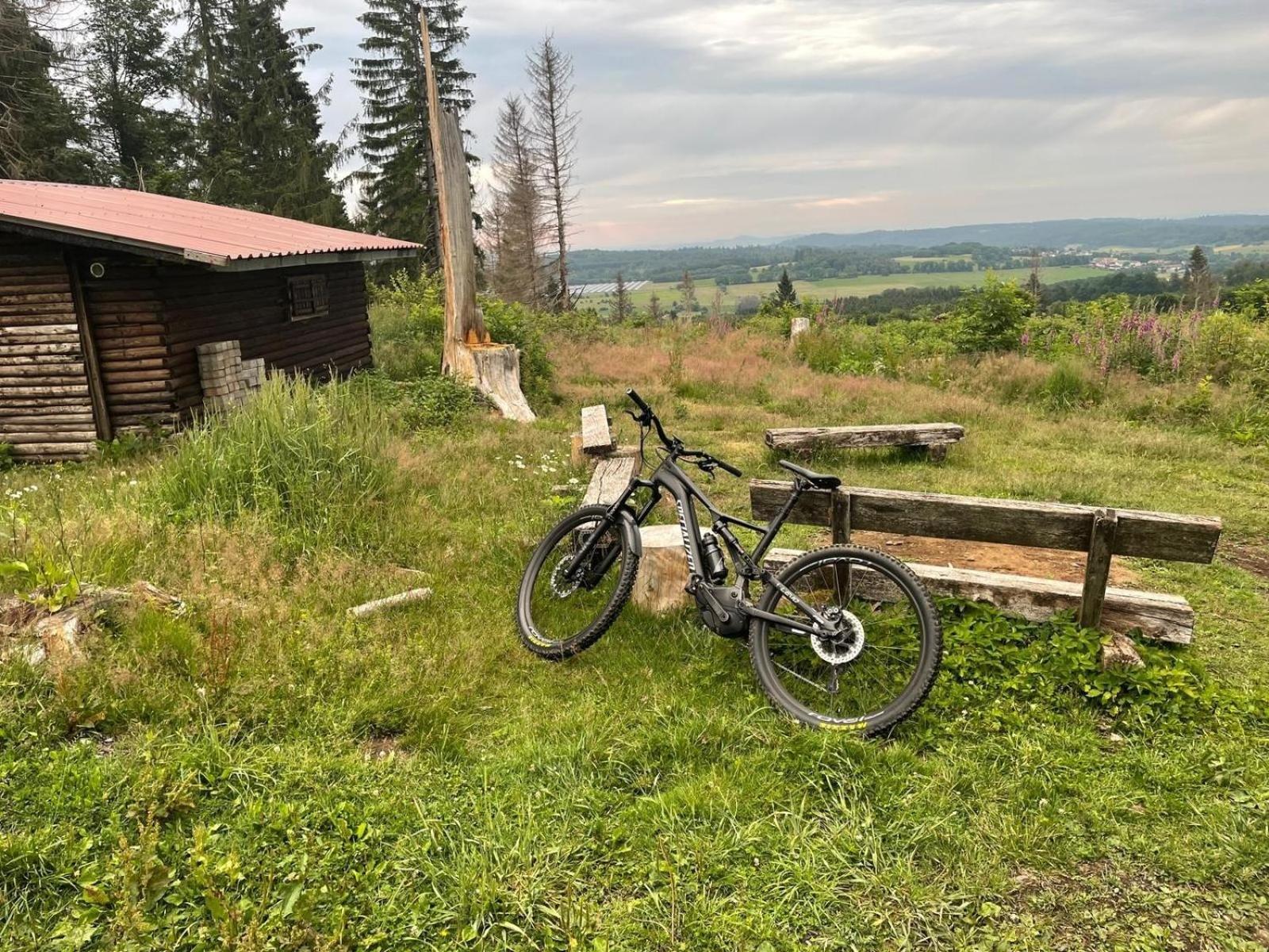 Ferienwohnung Zum Rosengarten West015 Westerwald Driedorf المظهر الخارجي الصورة